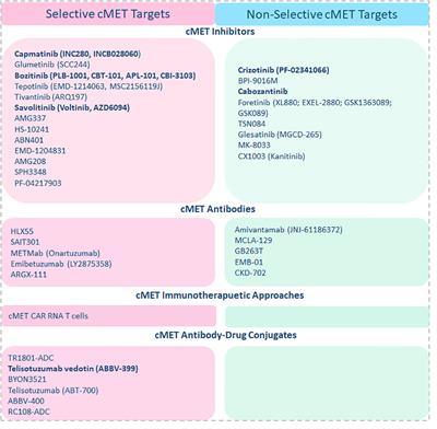 Targeting the cMET pathway to enhance immunotherapeutic approaches for mUM patients